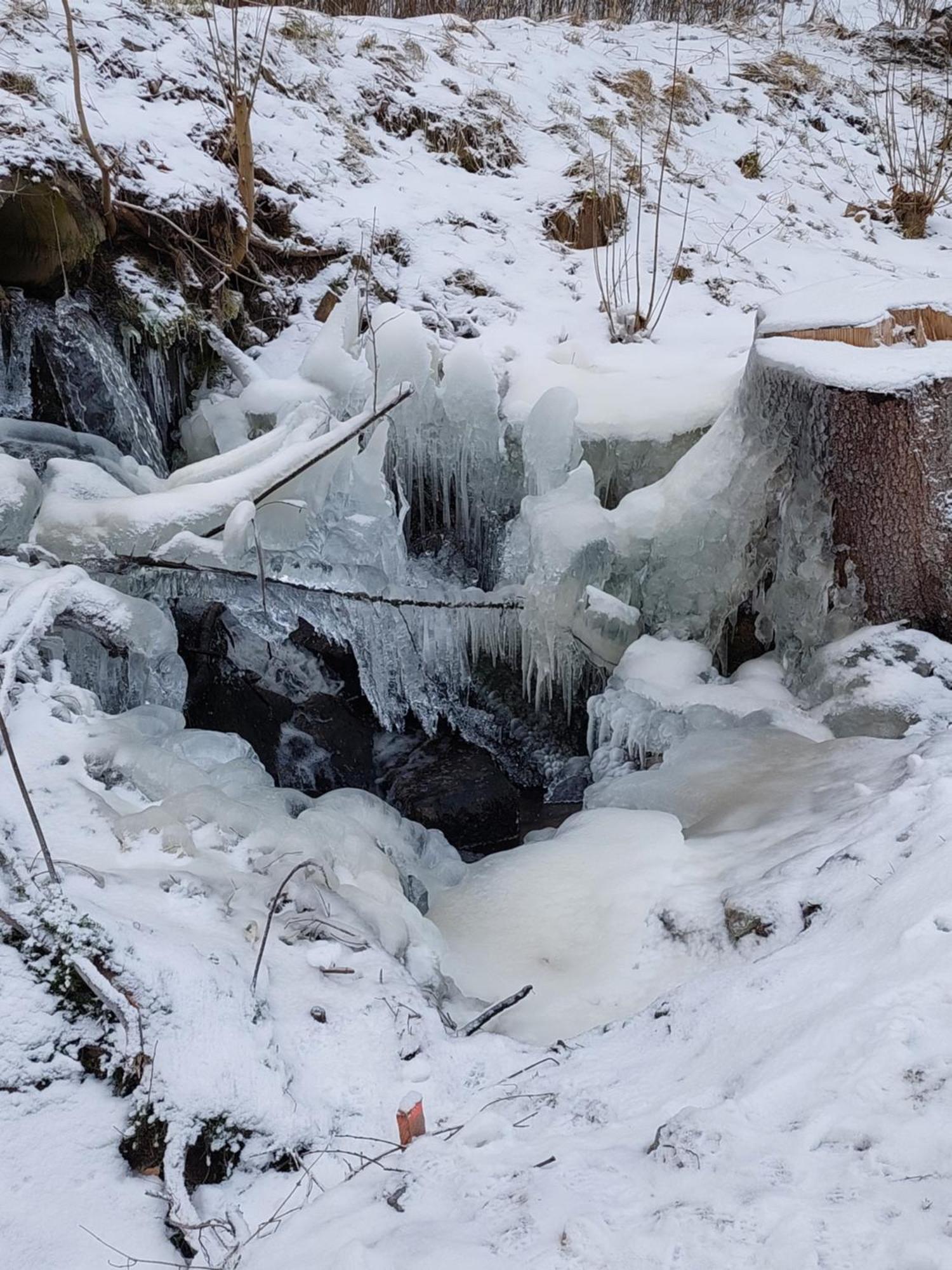 Ubytovani Na Lipne Černá v Pošumaví Buitenkant foto